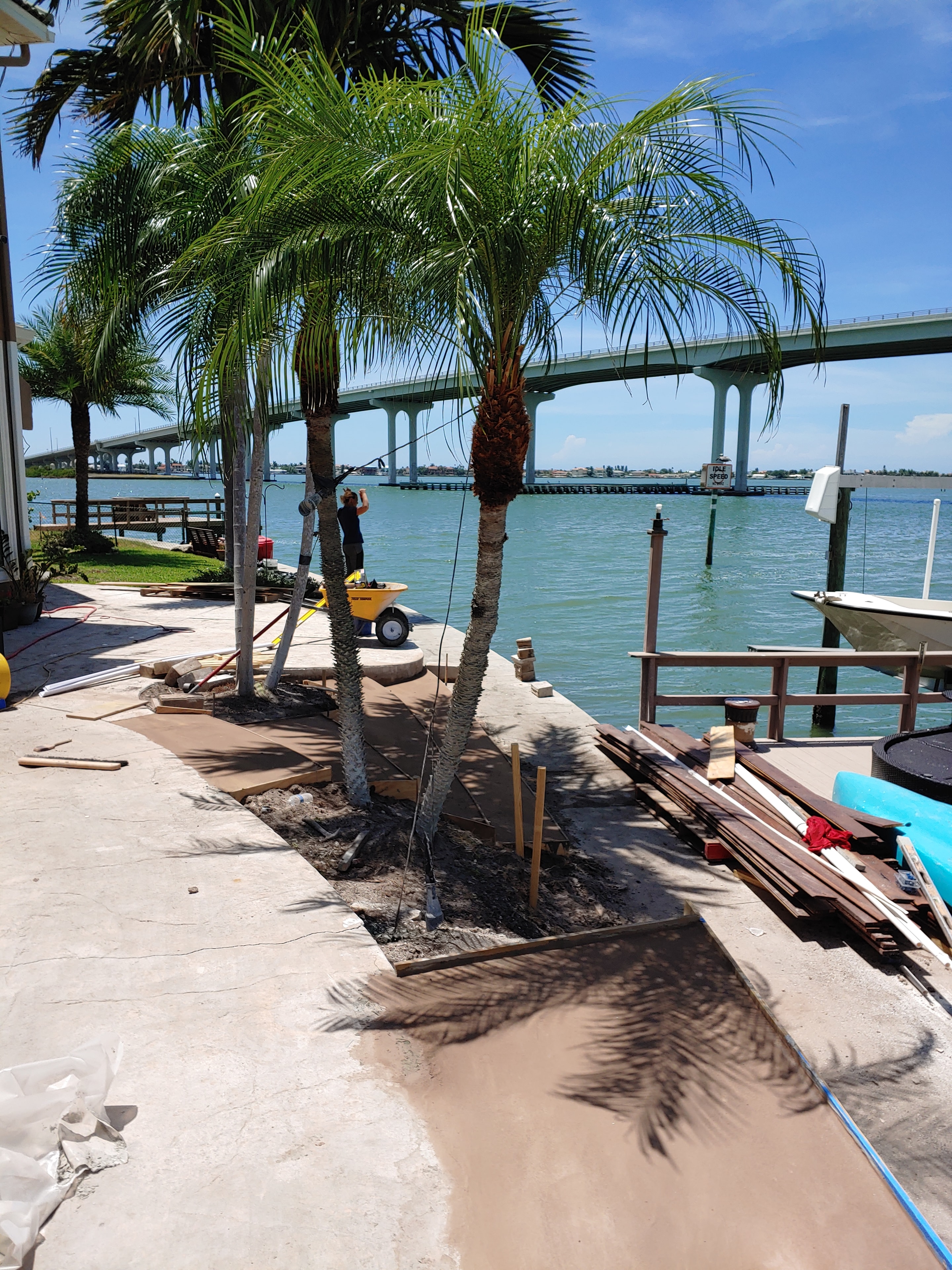 Stunning beachfront property with palm trees and waterfront views, a Red Star project.